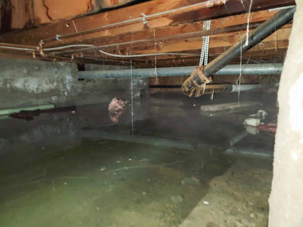 Best Sewage cleanup and water damage restoration  in Halifax, VA