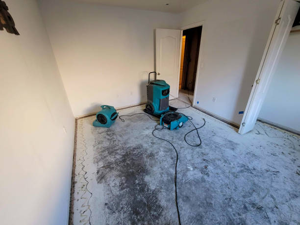 Best Mold removal after water damage  in Halifax, VA