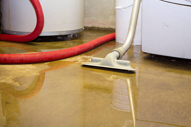Best Commercial water damage restoration  in Halifax, VA
