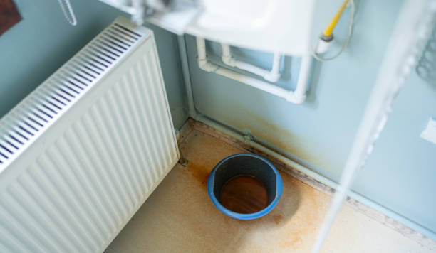 Best Carpet water damage restoration  in Halifax, VA