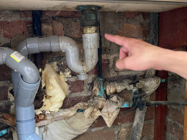 Best Basement water damage restoration  in Halifax, VA
